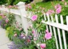 Kwikfynd Garden fencing
indentedhead